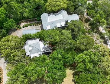 Rooftops in the canopy