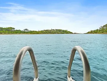 A swim off the dock